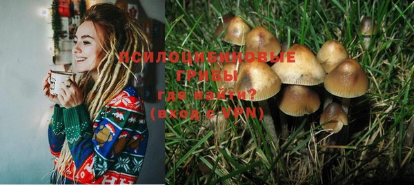 амф Алексин