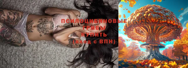 а пвп мука Алзамай