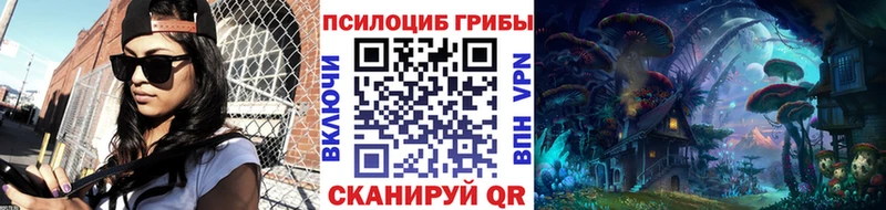 Псилоцибиновые грибы мицелий  даркнет сайт  Кулебаки 